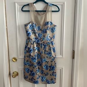 Satin and Sheer Sleeveless Dress